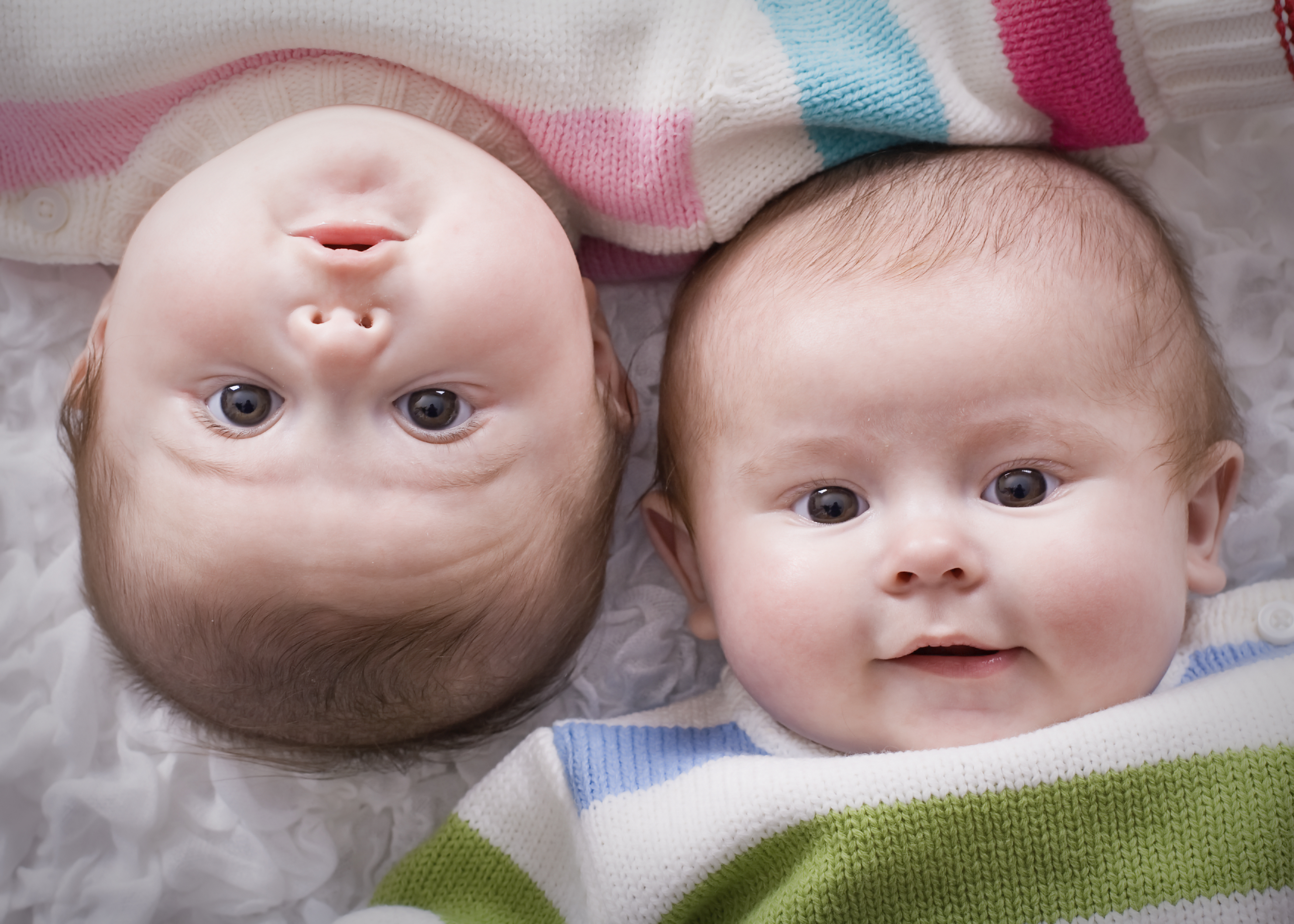 В роду есть близнецы. Младенцы двойняшки. Смешные дети. Близнецы фото. Близнецы дети смешные.