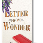 letter-from-wonder-3dcover