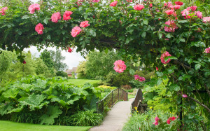 RHS Garden Hyde Hall, Essex, UK | A garden with wide ranging hor